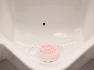 Fly-in-the-Urinal