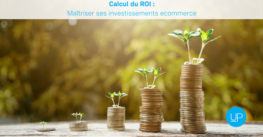 calcul ROI ecommerce