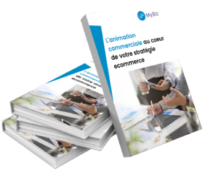 ebook animation commerciale 1