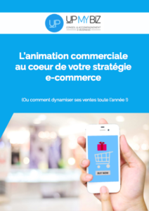 lb animation commerciale strategie ecommerce
