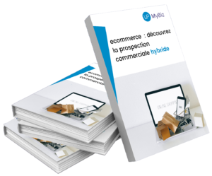 ebook prospection hybride