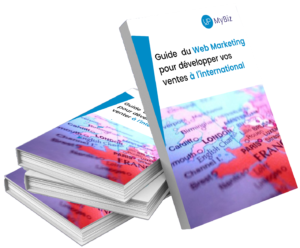 ebook webmarketing 1